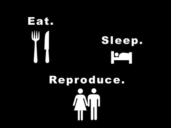 eat_sleep_reproduce