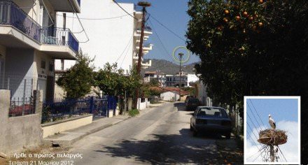 Ήρθε ο πρώτος πελαργός