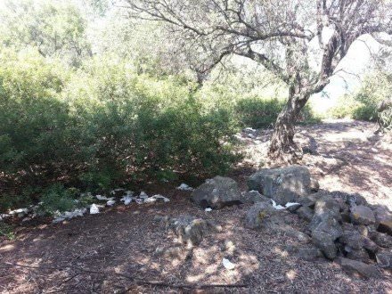 Λιχαδονήσια